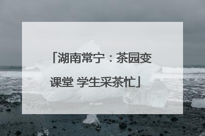 湖南常宁：茶园变课堂 学生采茶忙