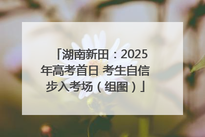 湖南新田：2025年高考首日 考生自信步入考场（组图）