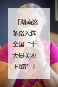 湖南这条路入选全国“十大最美农村路”