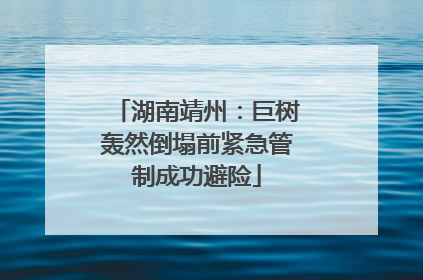湖南靖州：巨树轰然倒塌前紧急管制成功避险