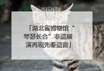 湖北省博物馆“琴瑟长合”非遗展演再现先秦遗音