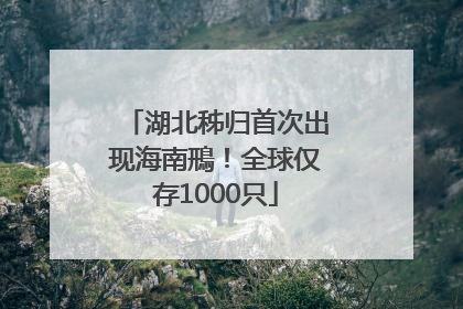 湖北秭归首次出现海南鳽！全球仅存1000只