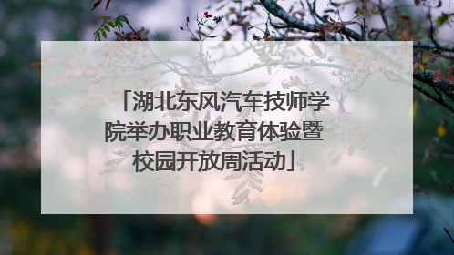 湖北东风汽车技师学院举办职业教育体验暨校园开放周活动