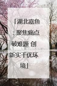 湖北嘉鱼：聚焦痛点破难题 创新实干优环境