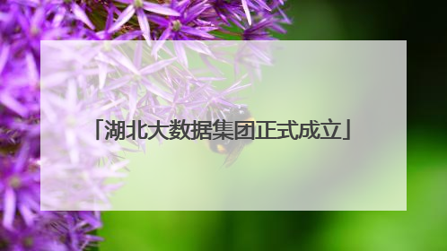 湖北大数据集团正式成立