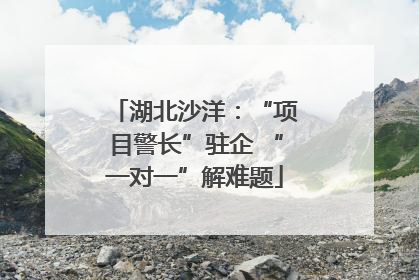湖北沙洋：“项目警长”驻企 “一对一”解难题