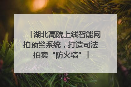 湖北高院上线智能网拍预警系统，打造司法拍卖“防火墙”