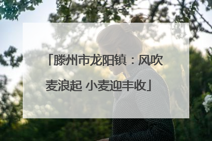 滕州市龙阳镇：风吹麦浪起 小麦迎丰收
