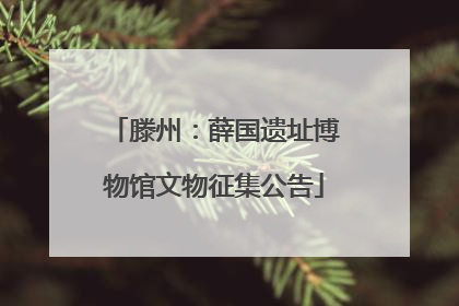 滕州：薛国遗址博物馆文物征集公告