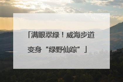 满眼翠绿！威海步道变身“绿野仙踪”
