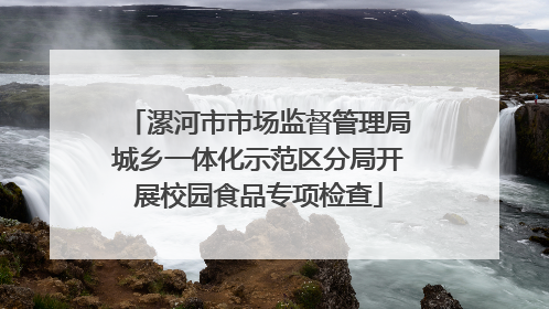 漯河市市场监督管理局城乡一体化示范区分局开展校园食品专项检查