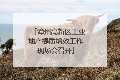 漳州高新区工业地产提质增效工作现场会召开