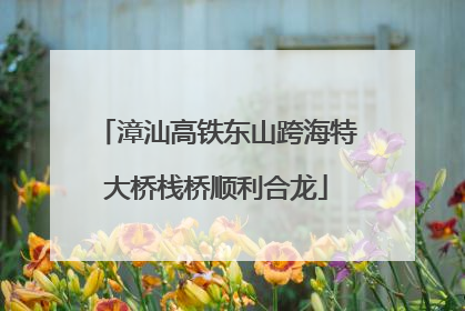 漳汕高铁东山跨海特大桥栈桥顺利合龙