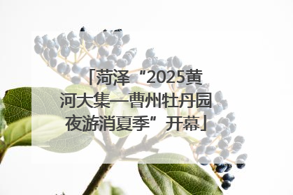 菏泽“2025黄河大集—曹州牡丹园夜游消夏季”开幕