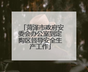 菏泽市政府安委会办公室到定陶区督导安全生产工作
