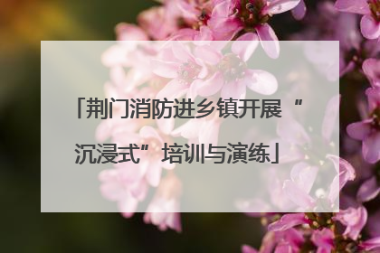 荆门消防进乡镇开展“沉浸式”培训与演练