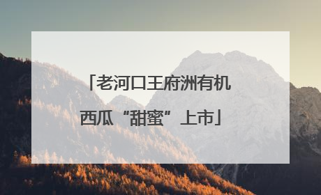 老河口王府洲有机西瓜“甜蜜”上市