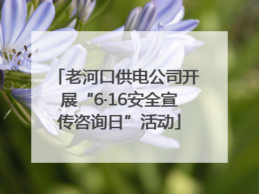 老河口供电公司开展“6·16安全宣传咨询日”活动