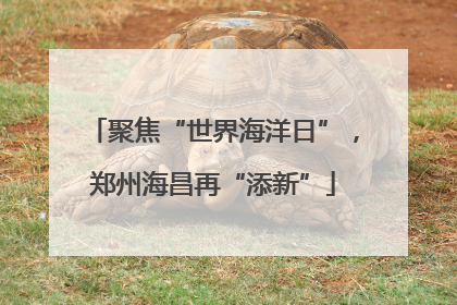 聚焦“世界海洋日”，郑州海昌再“添新”