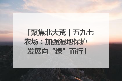 聚焦北大荒｜五九七农场：加强湿地保护 发展向“绿”而行