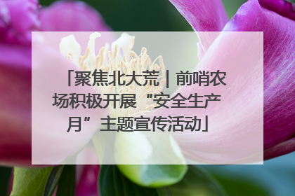 聚焦北大荒｜前哨农场积极开展“安全生产月”主题宣传活动