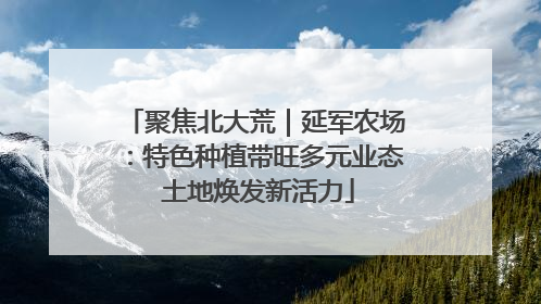 聚焦北大荒｜延军农场：特色种植带旺多元业态 土地焕发新活力