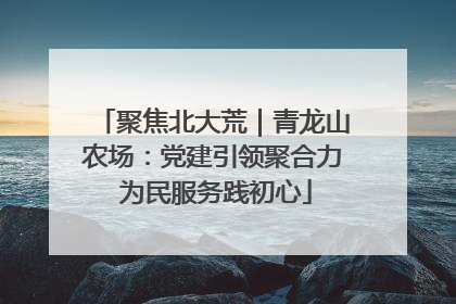 聚焦北大荒｜青龙山农场：党建引领聚合力 为民服务践初心