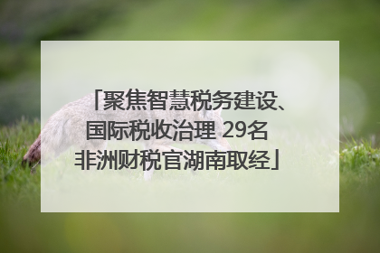 聚焦智慧税务建设、国际税收治理 29名非洲财税官湖南取经