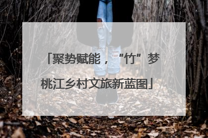 聚势赋能，“竹”梦桃江乡村文旅新蓝图