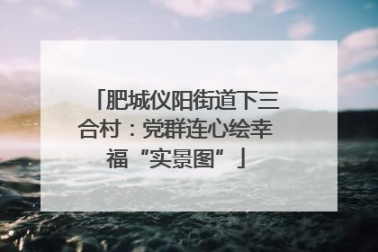 肥城仪阳街道下三合村：党群连心绘幸福“实景图”