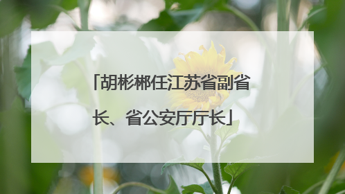 胡彬郴任江苏省副省长、省公安厅厅长