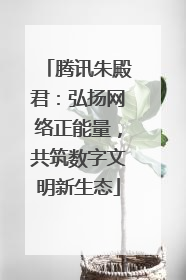 腾讯朱殿君：弘扬网络正能量，共筑数字文明新生态