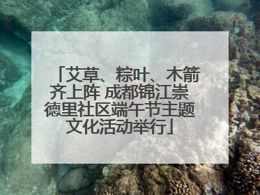 艾草、粽叶、木箭齐上阵 成都锦江崇德里社区端午节主题文化活动举行