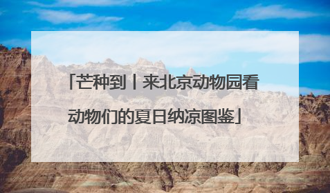 芒种到丨来北京动物园看动物们的夏日纳凉图鉴