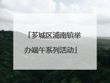 芗城区浦南镇举办端午系列活动