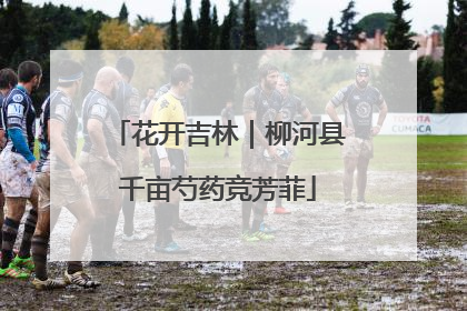 花开吉林｜柳河县千亩芍药竞芳菲