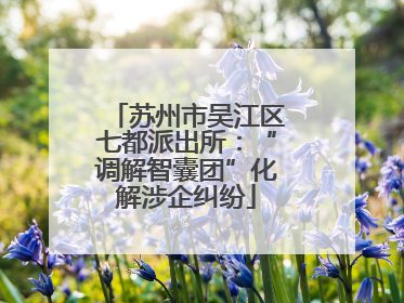 苏州市吴江区七都派出所：“调解智囊团”化解涉企纠纷