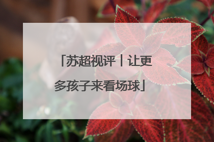 苏超视评︱让更多孩子来看场球