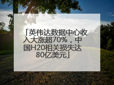 英伟达数据中心收入大涨超70%，中国H20相关损失达80亿美元