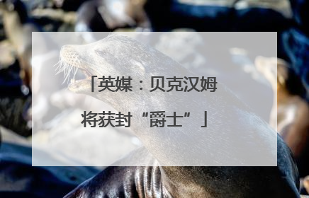 英媒：贝克汉姆将获封“爵士”