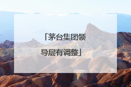 茅台集团领导层有调整