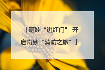 萌娃“进红门” 开启奇妙“消防之旅”