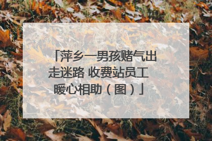 萍乡一男孩赌气出走迷路 收费站员工暖心相助（图）