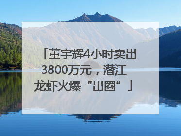 董宇辉4小时卖出3800万元，潜江龙虾火爆“出圈”