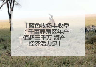蓝色牧场丰收季：千亩养殖区年产值超三千万 海产经济活力足