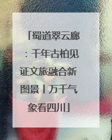 蜀道翠云廊：千年古柏见证文旅融合新图景丨万千气象看四川