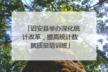 诏安县举办深化统计改革,提高统计数据质量培训班