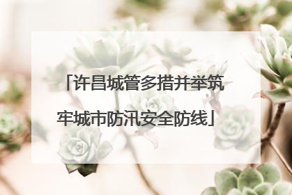许昌城管多措并举筑牢城市防汛安全防线
