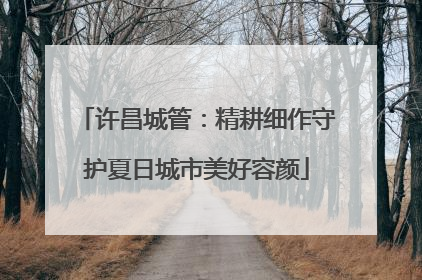 许昌城管：精耕细作守护夏日城市美好容颜