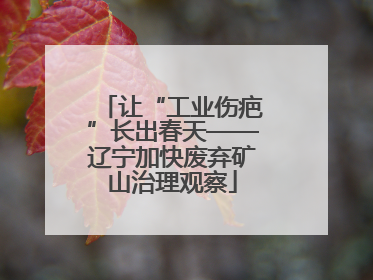 让“工业伤疤”长出春天——辽宁加快废弃矿山治理观察